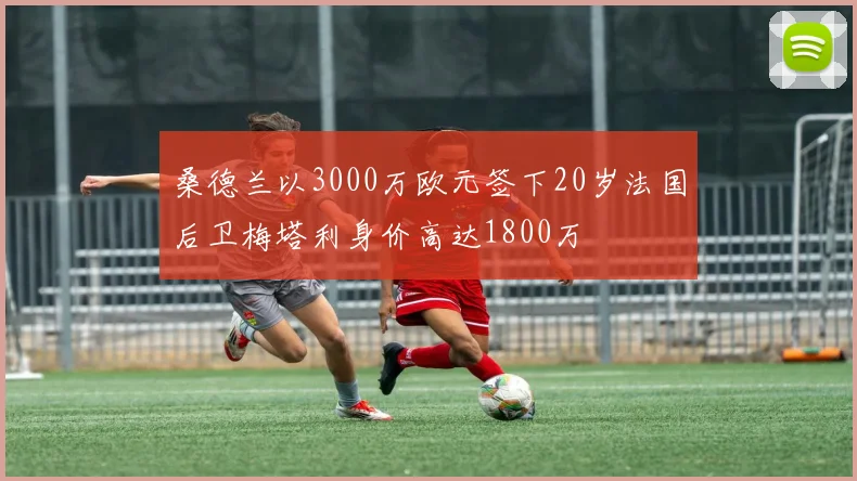桑德兰以3000万欧元签下20岁法国后卫梅塔利身价高达1800万
